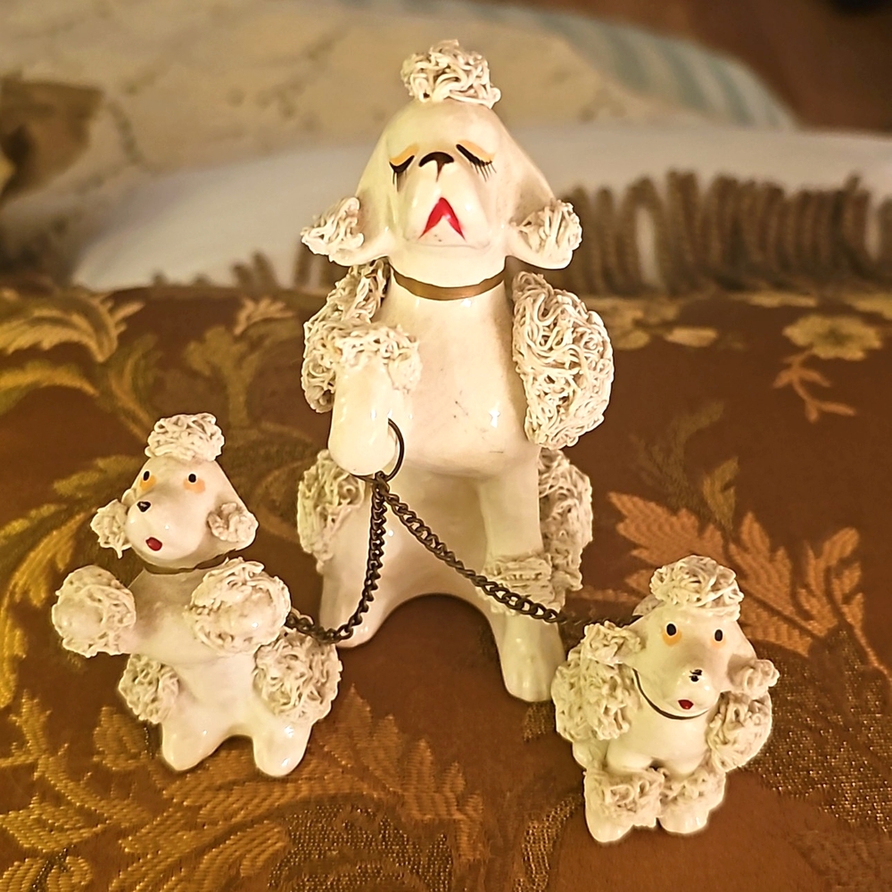 1950's Spaghetti Poodles